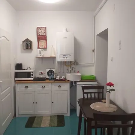 Ferienwohnung Sara House Bistriţa Exterior foto